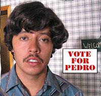 voteforpedro.jpg